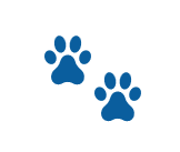 Seguro para Mascotas
